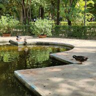IMG20220620165442